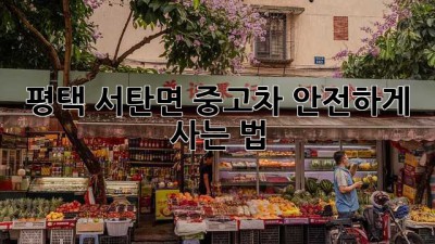 평택 서탄면 중고차 안전하게 사는 법