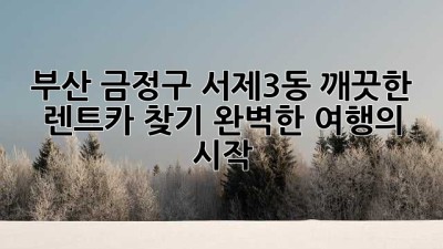 부산 금정구 서제3동 깨끗한 렌트카 찾기: 완벽한 여행의 시작